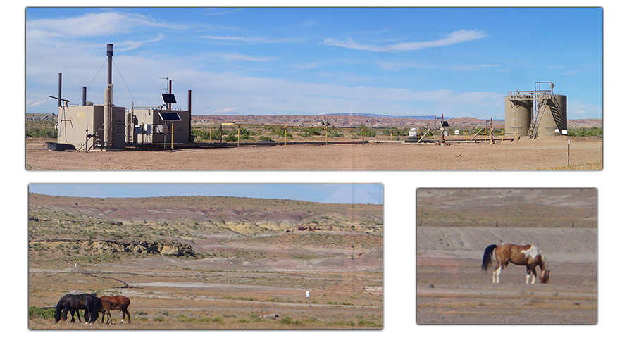 wild horses near vernal utah