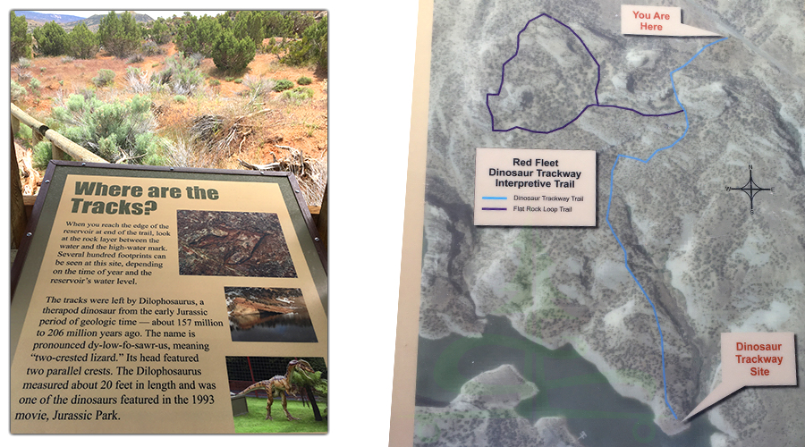 information about red fleet dinosaur trackway trail