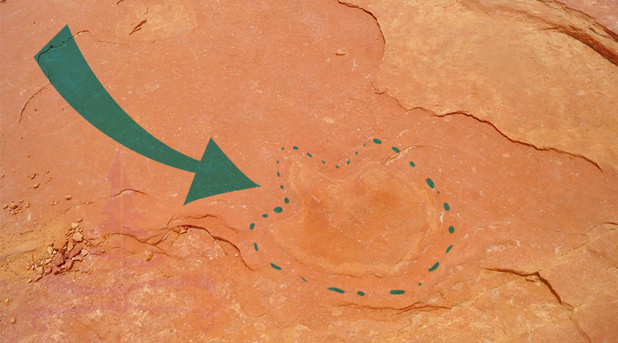 dinosaur footprint in utah
