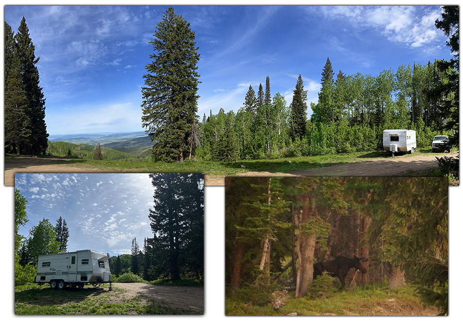 dispersed camping near steamboat springs in routt national forest