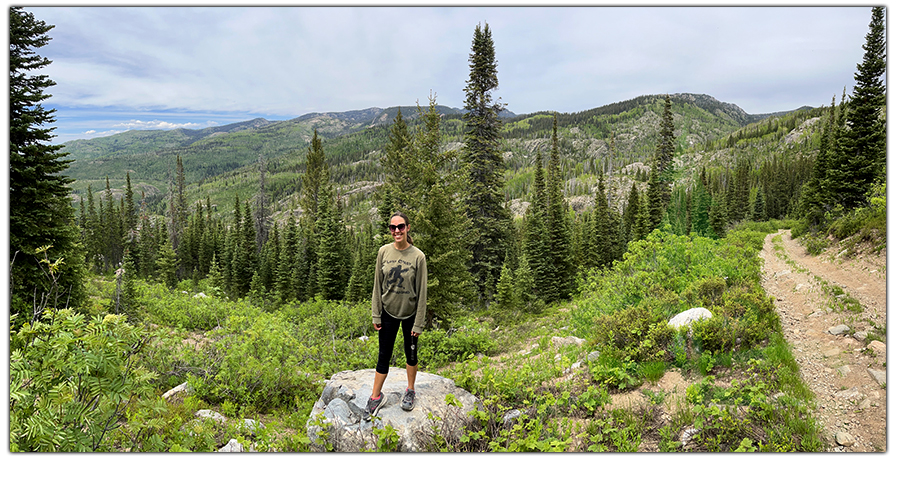beautiful scenery in routt national forest