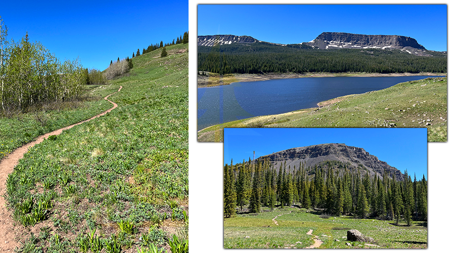 trail near stillwater reservoir in flat tops wilderness