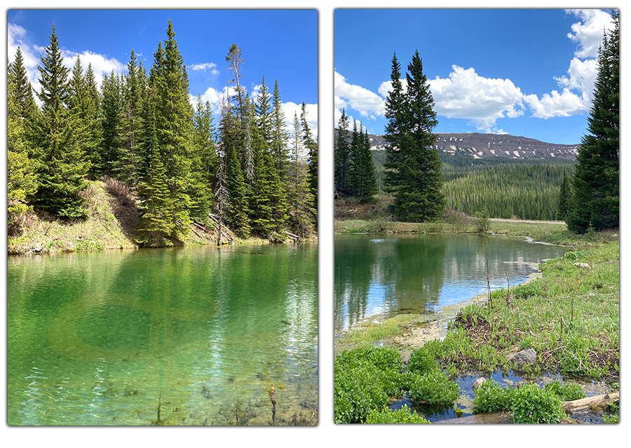 lake at the campground on bear river road