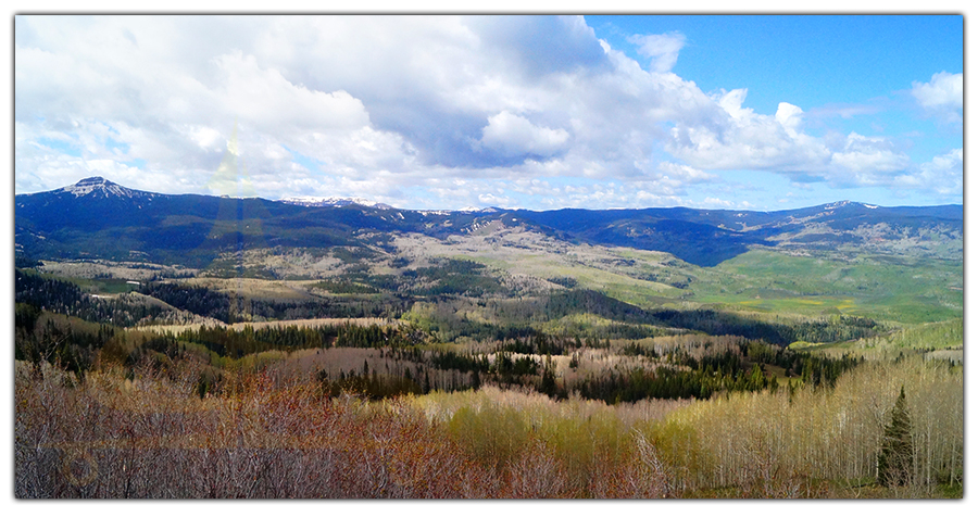 view from dunkley pass in colorado