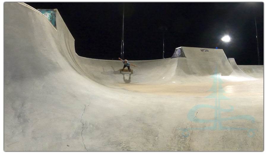 team pain skatepark in longmont colorado