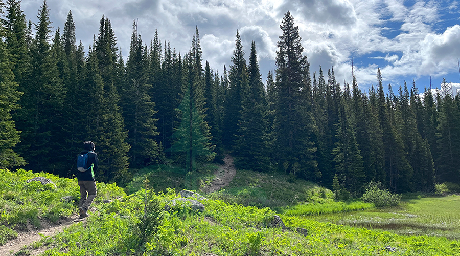 hiking sand lake trail into the forest