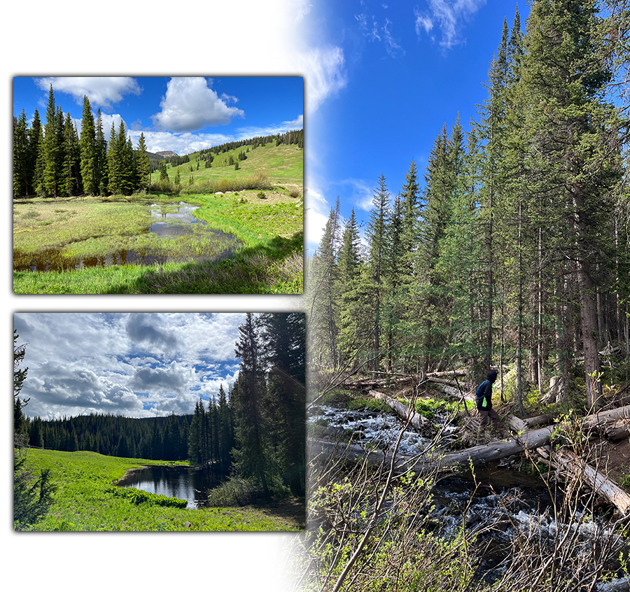 sand lake trail in flat tops wilderness