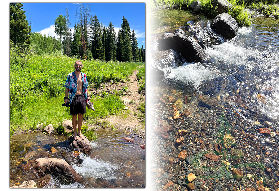 water crossing at the end of the forest road