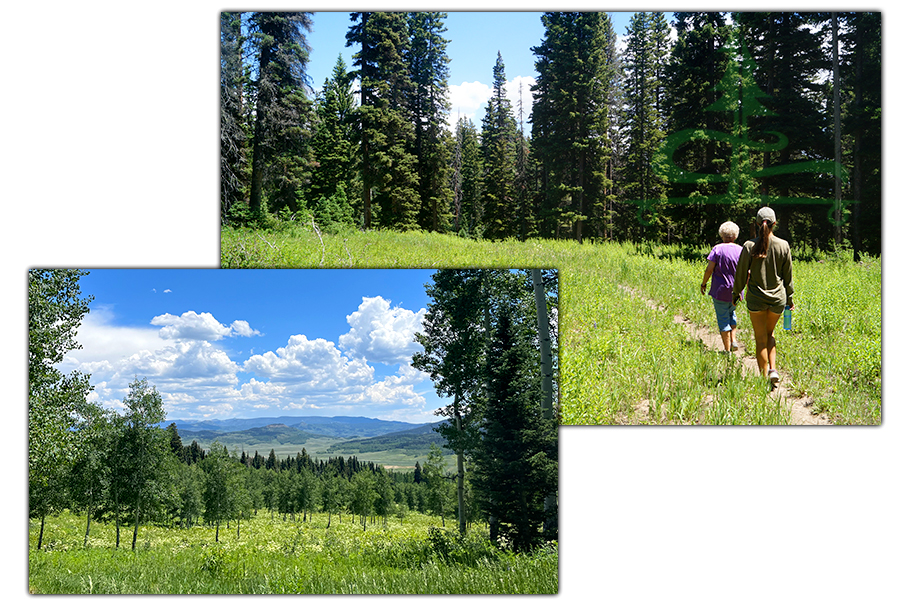 hiking near our spot camping on rabbit ears pass road