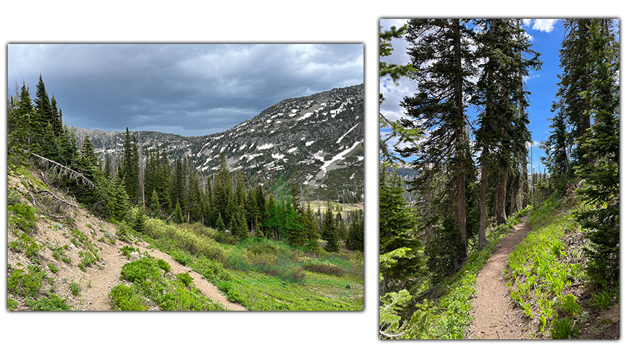 switchbacks down to gold creek lake