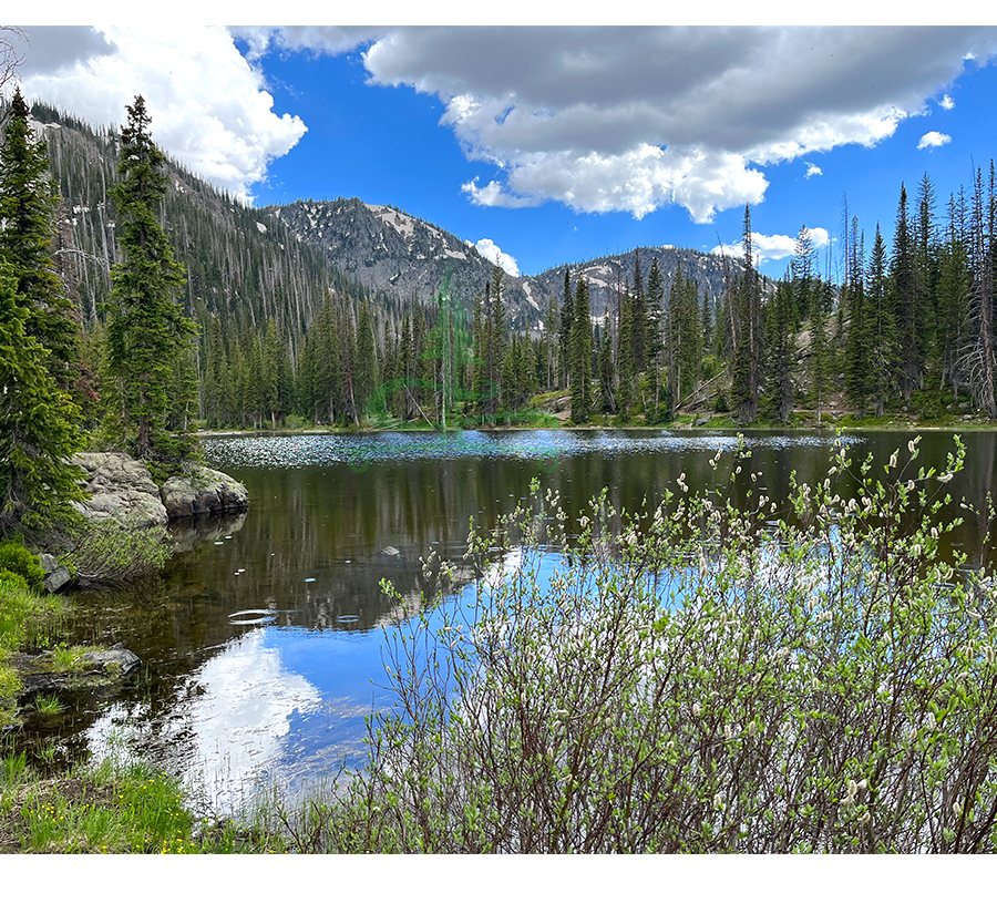 gold creek lake in mount zirkel wilderness