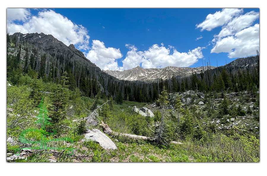 mountain views in routt national forest