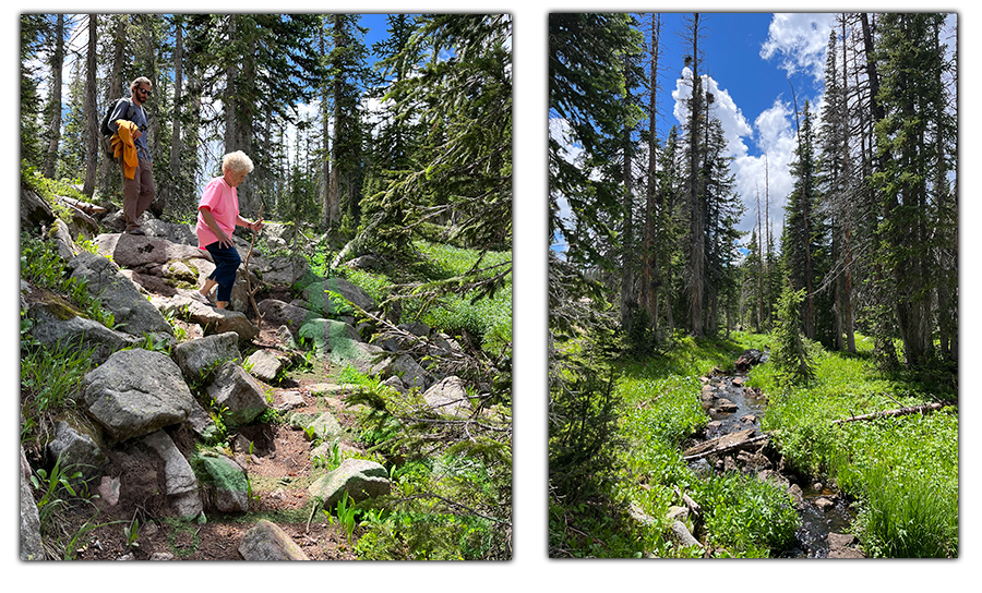 hiking buffalo pass lakes loop