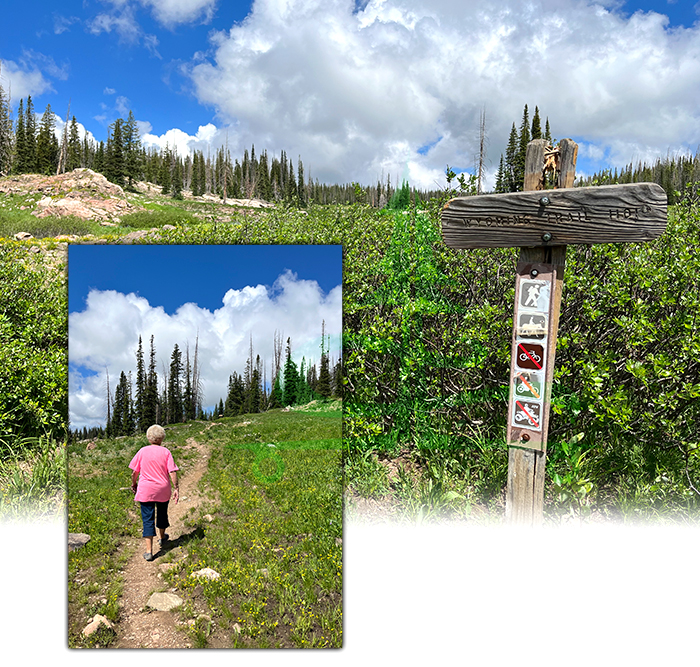 beginning of wyoming trail in colorado