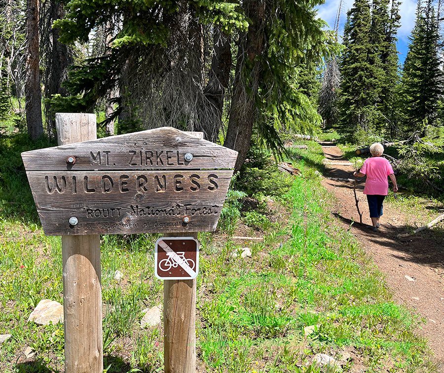 grandma hiking in routt national forest