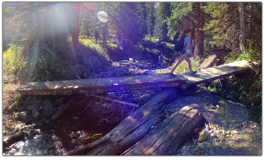 creek crossing in state forest state park