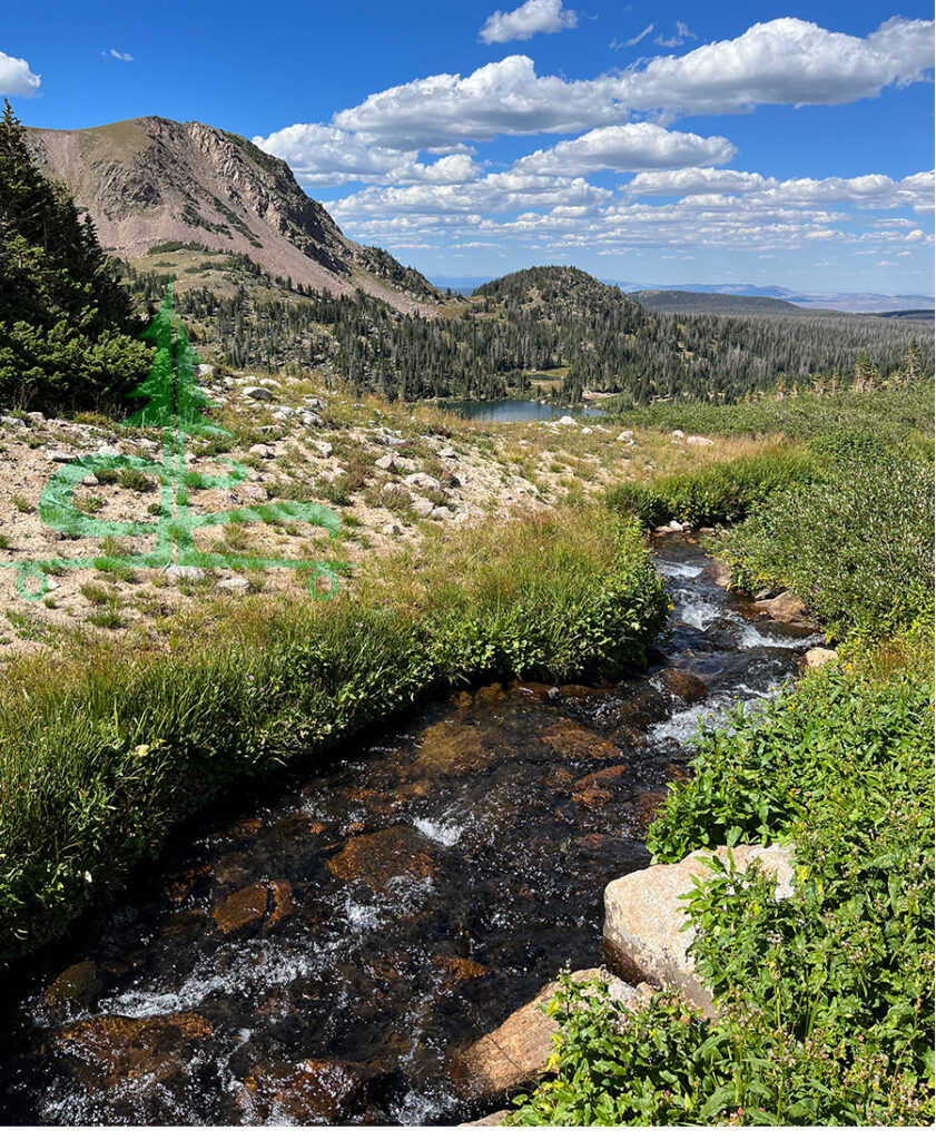 backpacking rawah trail scenery