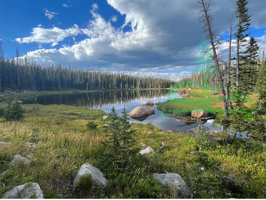 lower sandbar lake in roosevelt national forest