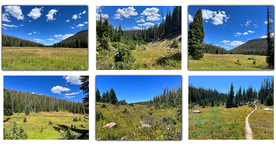 backpacking rawah trail through a large meadow