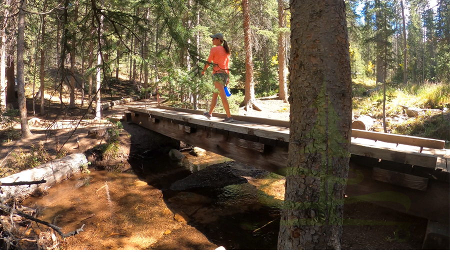bridge crossing the creek in pikes national forest