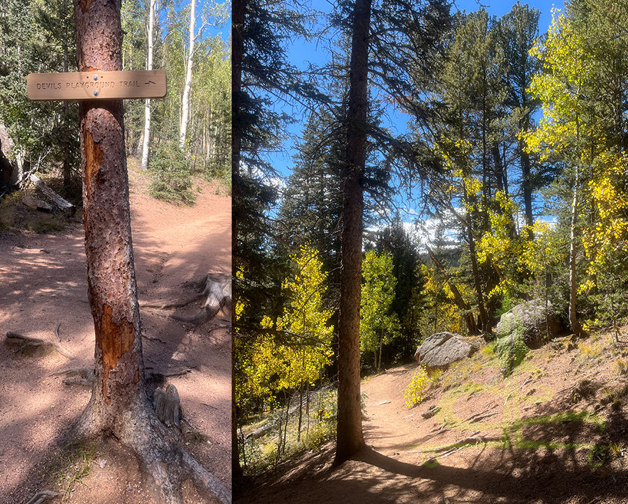 intersection with devils playground trail in pikes national forest