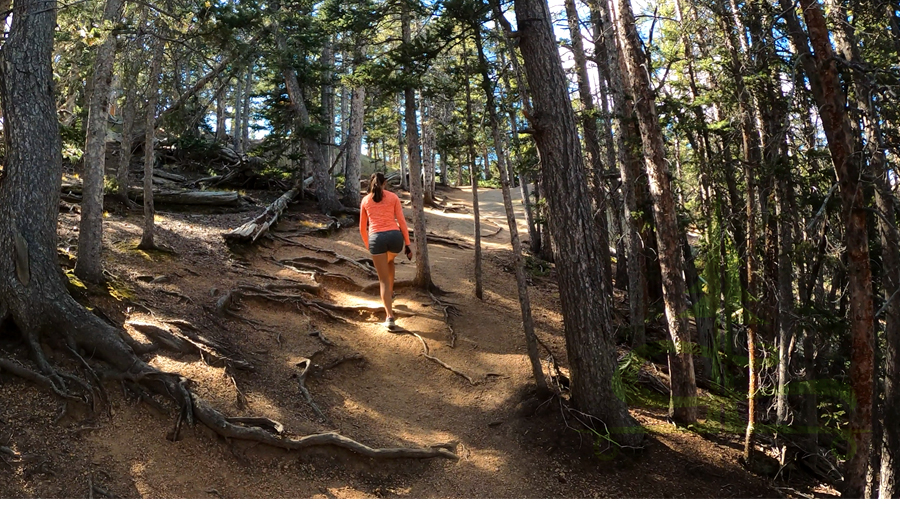 hiking crags trail ascent through the woods