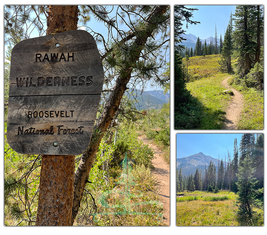 entering the rawah wilderness in roosevelt national forest