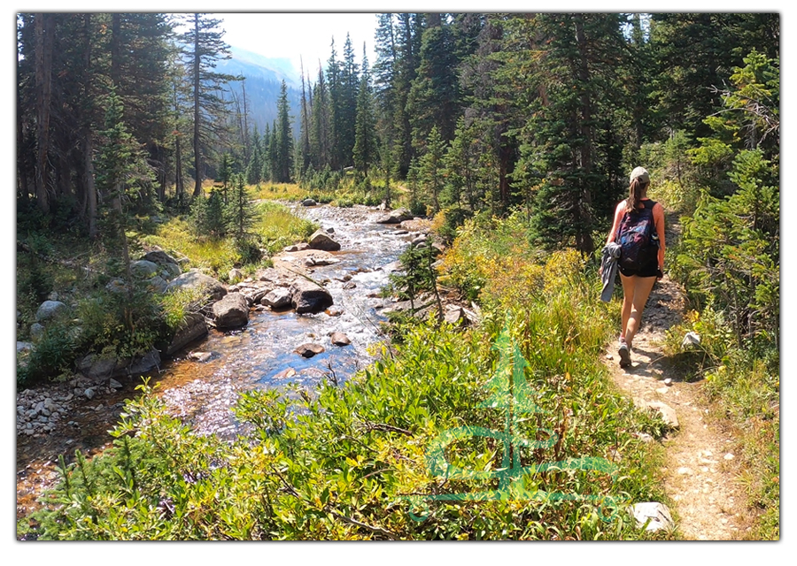 hiking west branch trail along the water