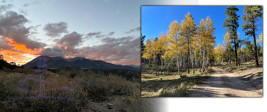 fall colors near mt shavano