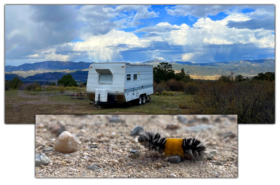 camping in shavano wildlife area