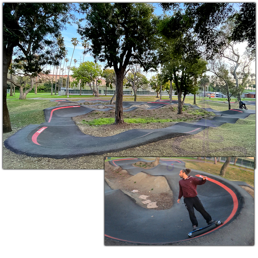 woodlands pump track course among the trees