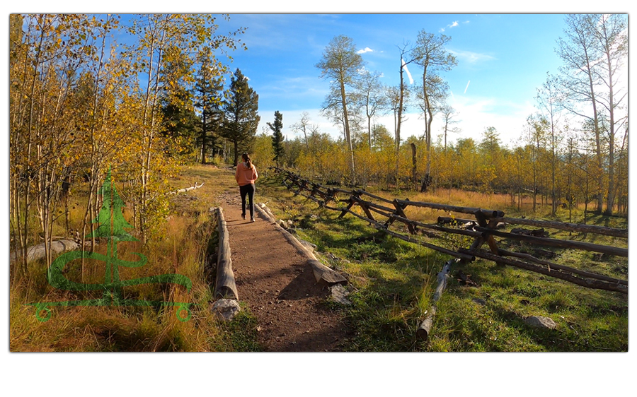 fall hike in the aspen